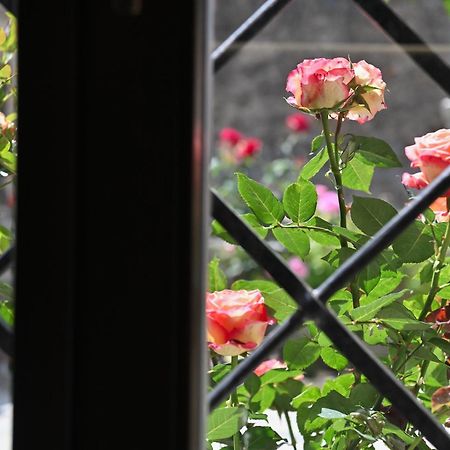 Ιkia Zmas Villa Argalasti Exteriör bild